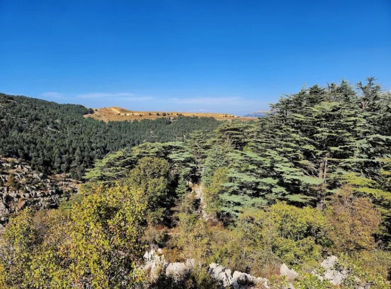 Fneidek El-Qammoua-02