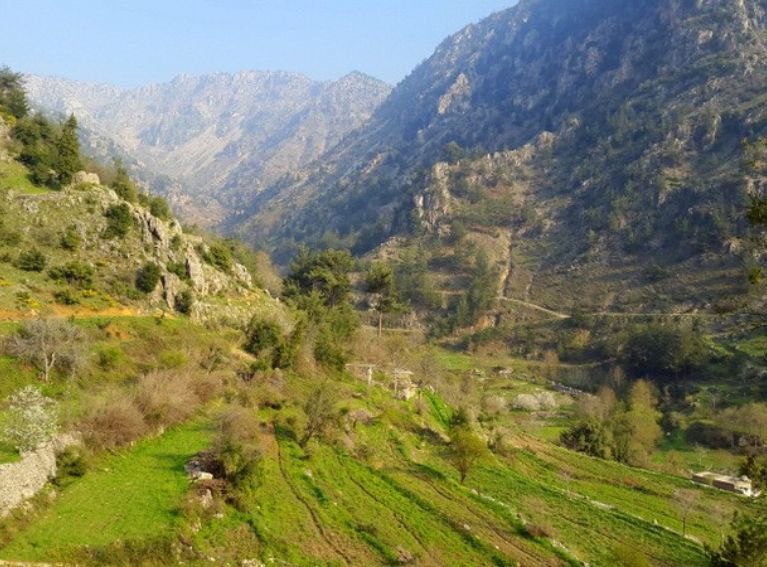 Fneidek El-Qammoua-03